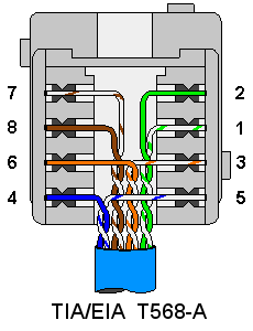 Cat5 EIA/TIA T568A Wall Plate Outlet