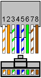 Internet Cat 5 Plug Colors