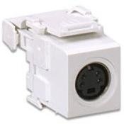 Leviton S-Video Jcak